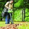 Dmuchawa/odkurzacz do liści Greenworks GD40BVII