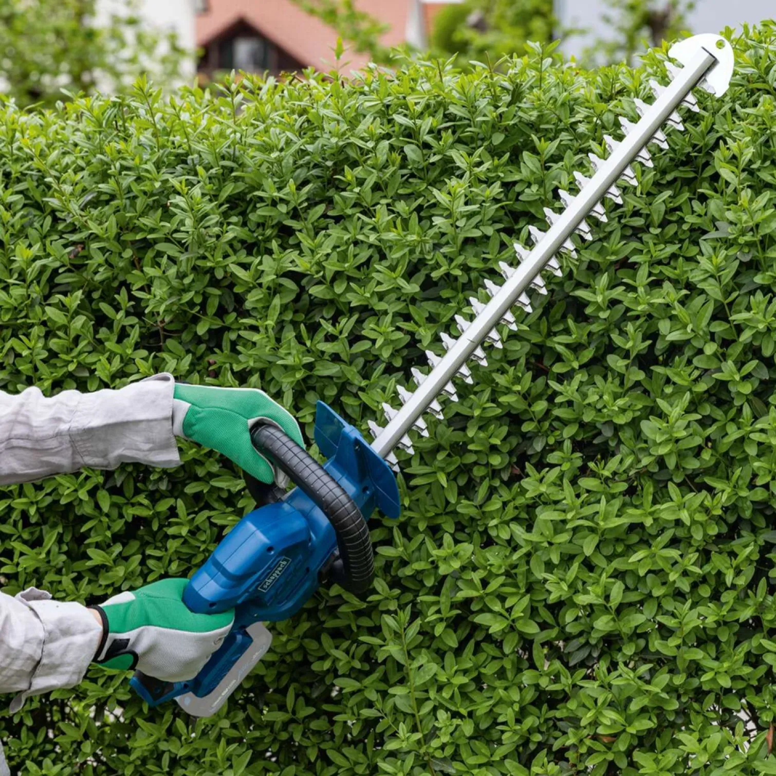 Nożyce do żywopłotu Scheppach C-HT570-X 20V IXES