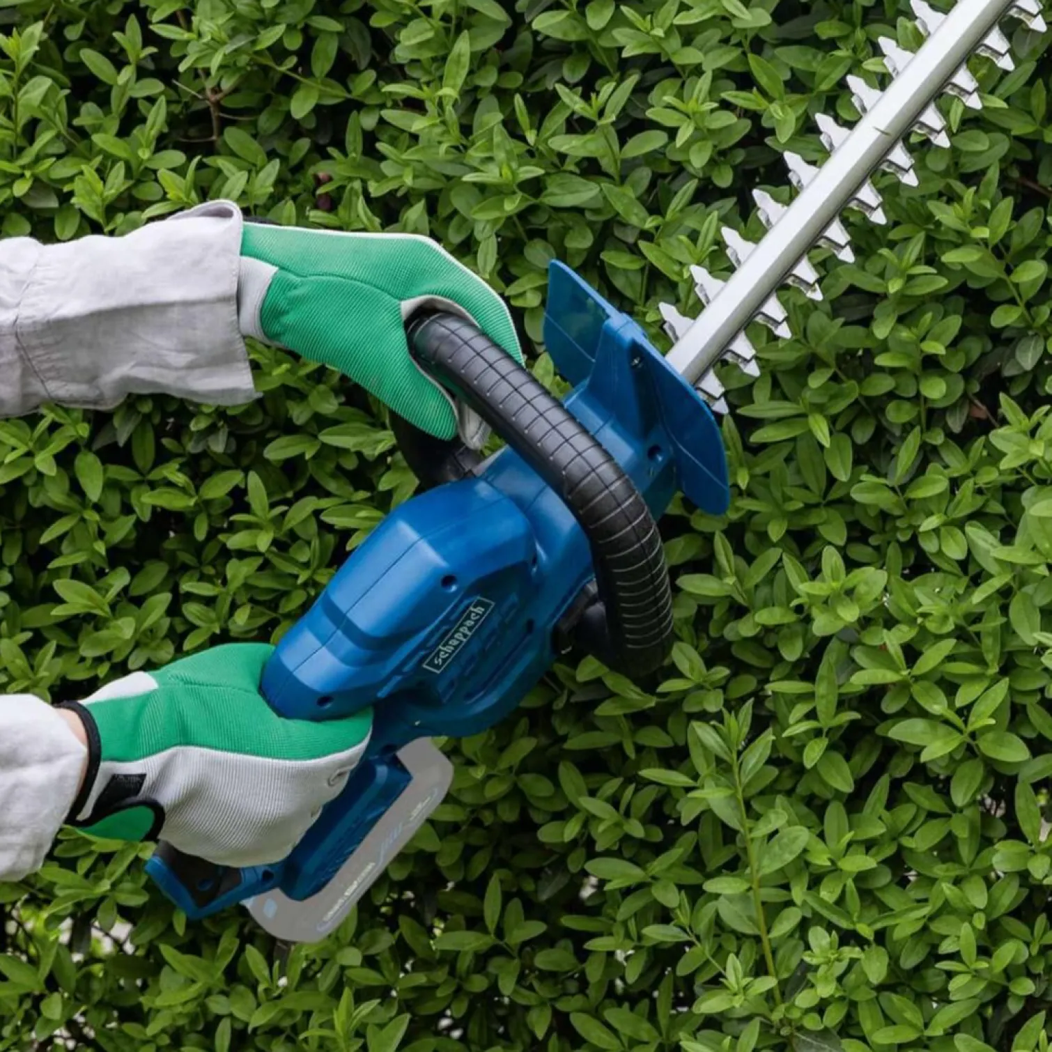 Nożyce do żywopłotu Scheppach C-HT570-X 20V IXES