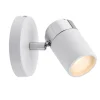 Oprawa punktowa 1-elementowa Spotlight Zyli Paulmann 66710