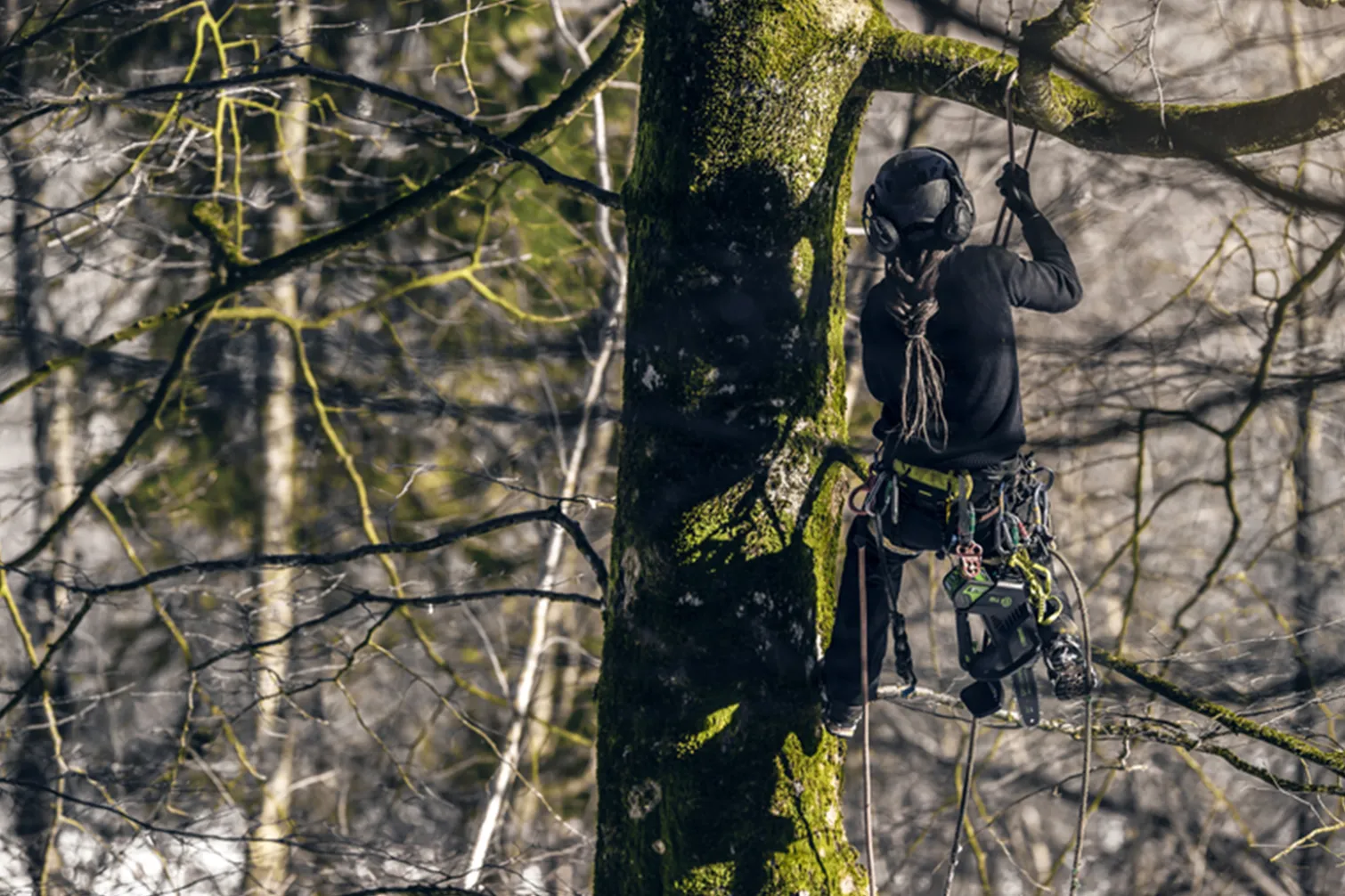 Pilarka łańcuchowa Greenworks GD40TCS