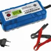 Prostownik Dedra DEPM019LFP
