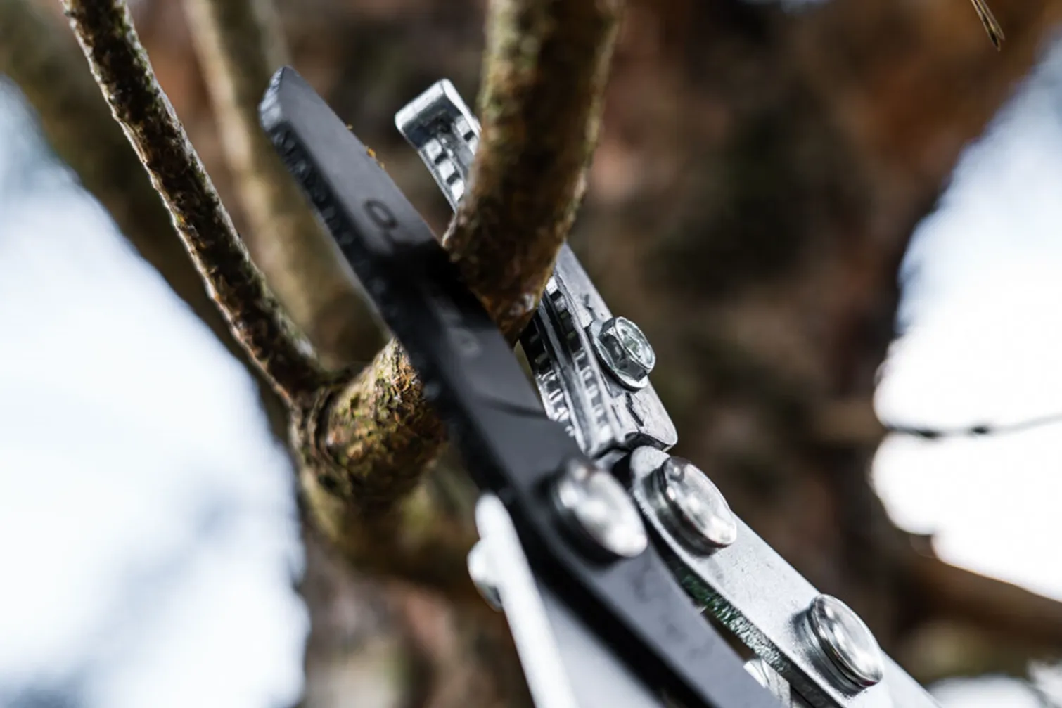 Sekator do gałęzi kowadełkowy 740 mm, ostrze 80 mm Verto 15g251