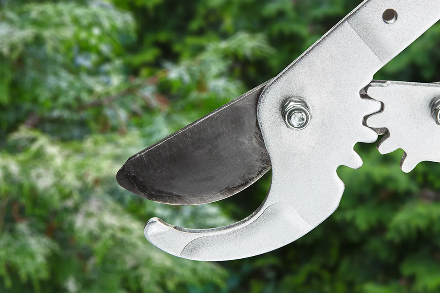 Sekator do gałęzi, uchwyty aluminiowe Verto 15G256
