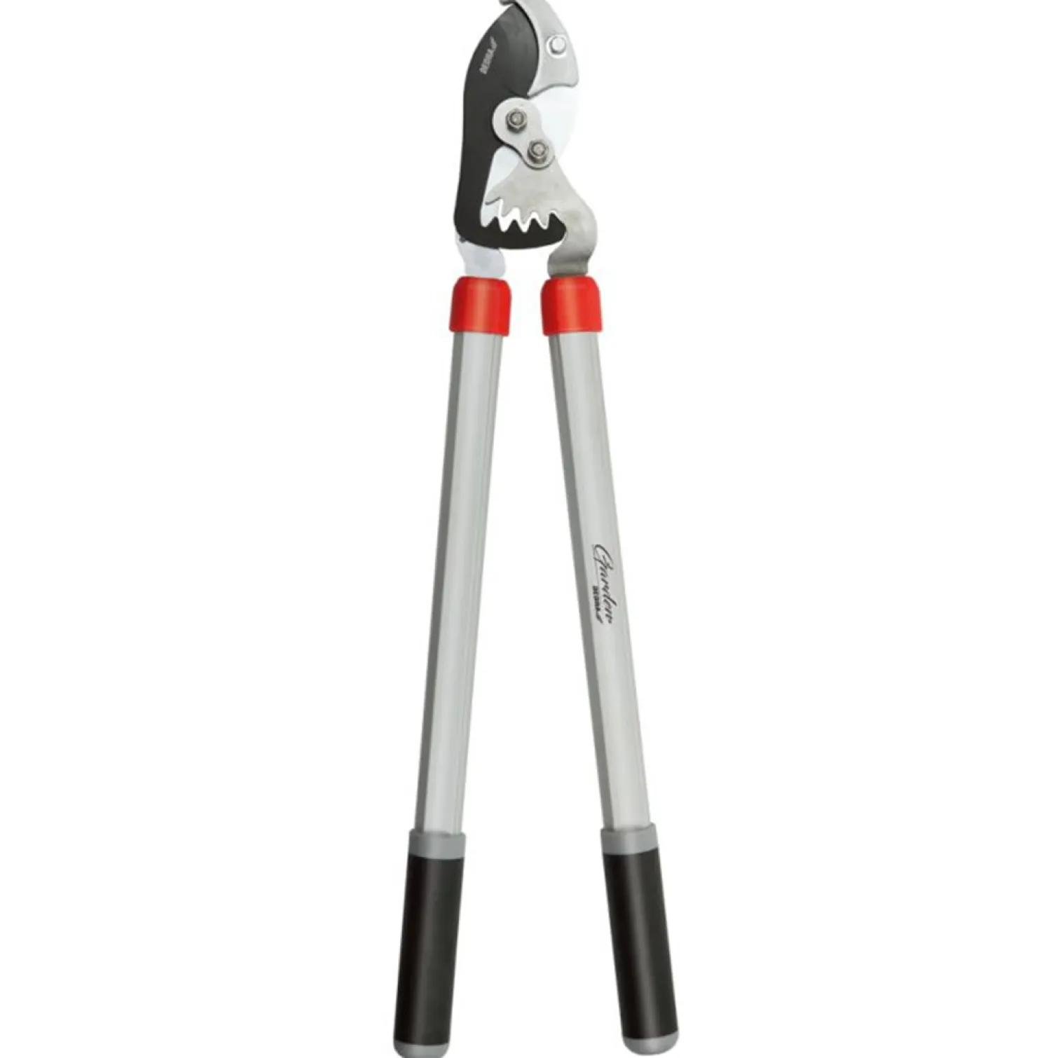 Sekator kowadełkowy do suchych gałęzi Dedra 80A030