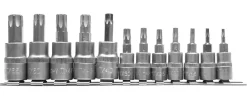 Zestaw kluczy trzpieniowych 1/4" 3/8" Torx na szynie 12szt. Yato YT-04331