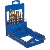 Zestaw wierteł do metalu w powłoce tytanowej HSS-G TiN wg DIN338 19 sztuk Makita P-61385